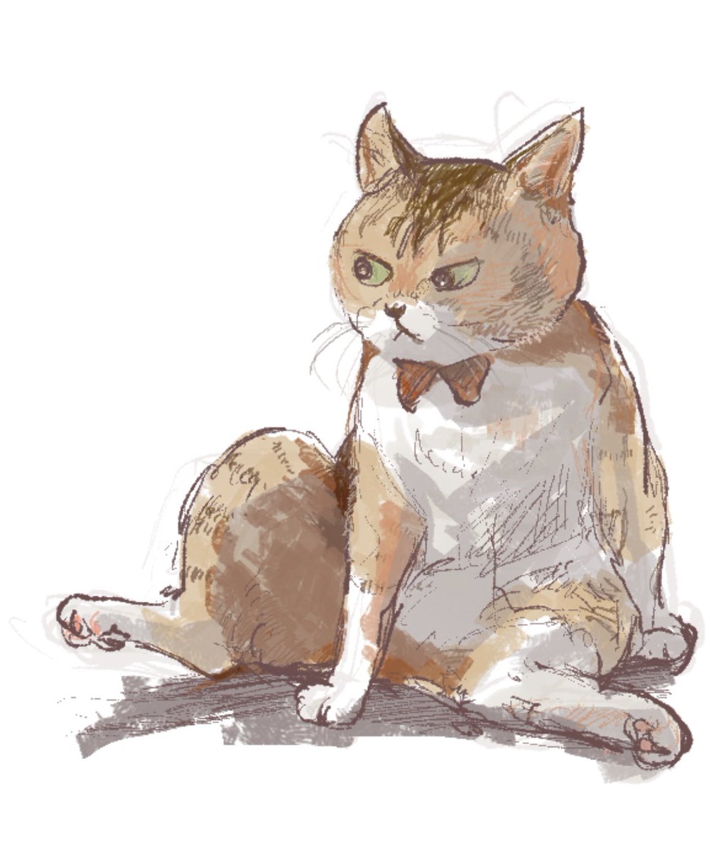「おこ猫。 」|オキエイコ@ねこヘルプ手帳のイラスト