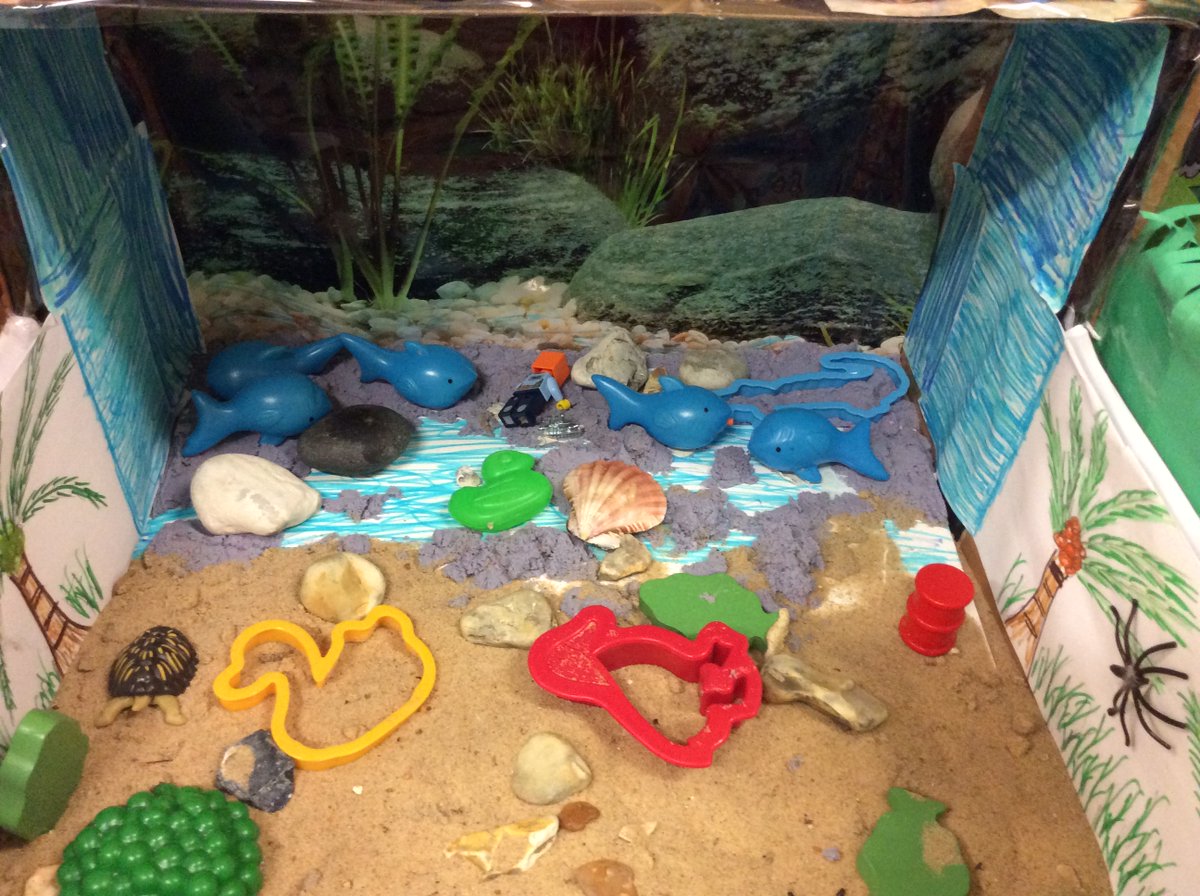 se18conway's tweet photo. Follow the link  to see what our Year 2 classes have been doing in Science this term - they've been looking at 'Habitats'

https://t.co/MhIlQRJu8U https://t.co/5ARKRATF6K