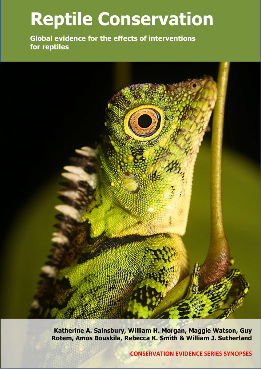 📢NEW SYNOPSIS📢
The Reptile Synopsis is here!

Including 1,003 summaries describing conservation actions for reptiles, from 707 publications.

And at this “most wonderful time of the year”, what better introduction than a selection of 12 actions to conserve reptiles... a thread