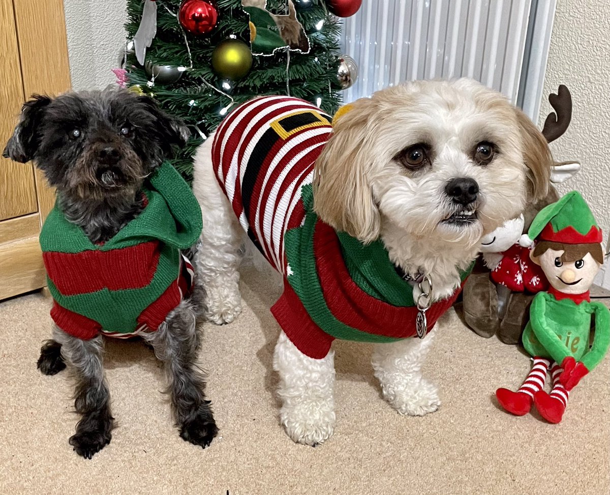 ZZozzles's tweet photo. It’s Xmas https://t.co/BaUbn0pNou