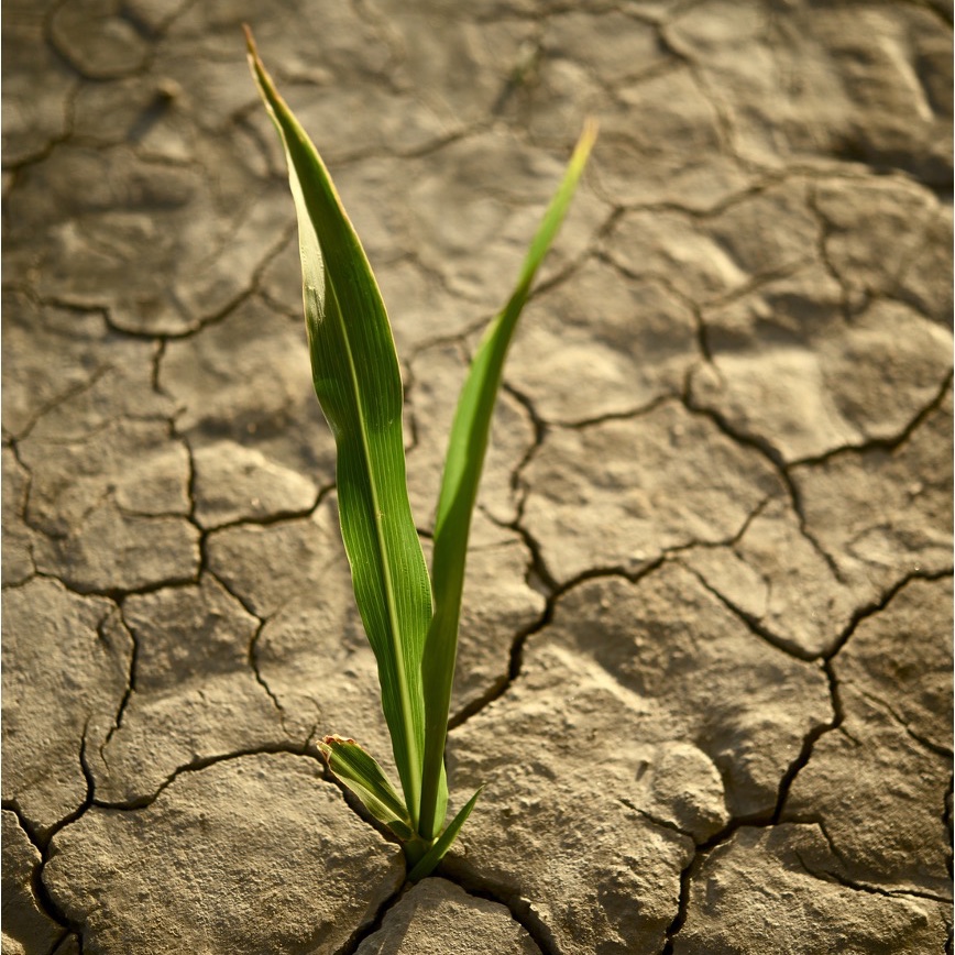 Today, we want to share the story of Nour with you, a Yazidi girl who faced significant adversity during years in captivity by #Daesh. Today, she feels empowered to reclaim her life 🌱😊

Learn more about her story and our project here 👉bit.ly/3slGMd1