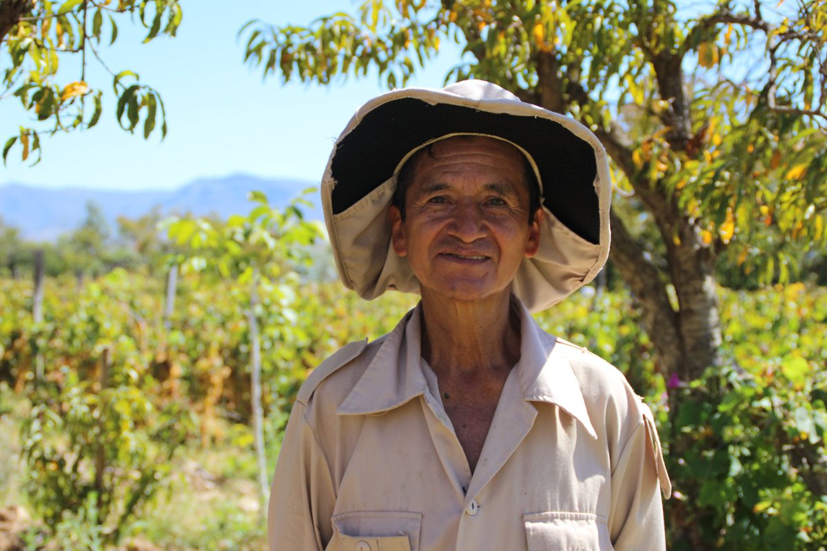 WaSa_Hub's tweet photo. How does @giz_gmbh tackle the impact of climate change in the #water sector 💧?
Through the #PROCUENCA project in #Bolivia 🇧🇴, we trained 16 women and 24 men from local &amp; regional institutions to ensure a sustainable management of the water resources in their river basins.🏞️ https://t.co/WK22TVuXRC