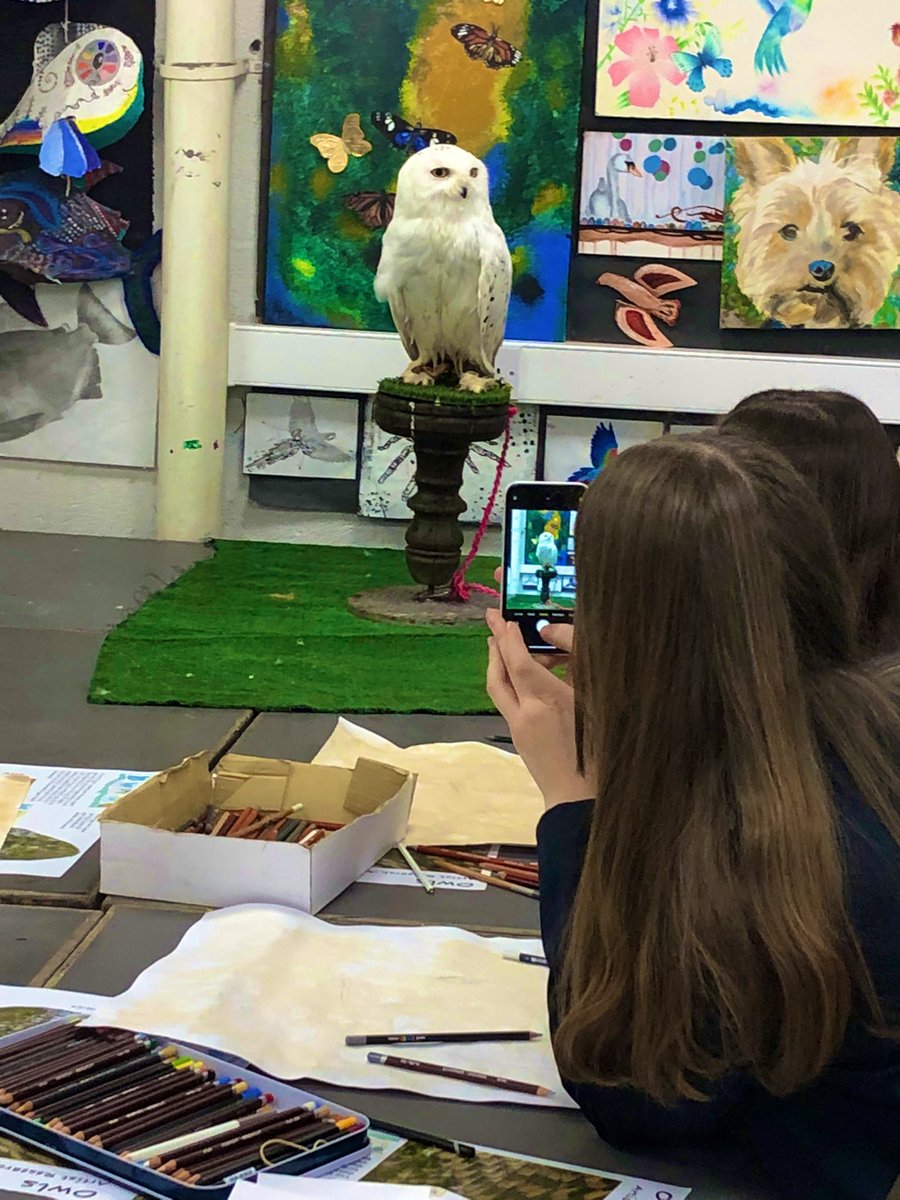 ArtRangeHigh's tweet photo. Owl day in the art department again, Hogwarts has nothing on us! Cultural capital at its finest 🦉 #owlday #rhsartisbest https://t.co/lZAnkE74Xg