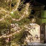 Photo by Leadenham Teahouse (@leadenhamtea)