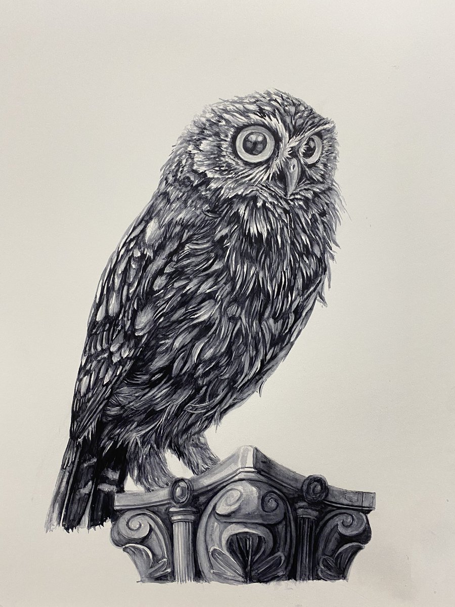AtelierGeeraets's tweet photo. Ik maakte een steenuil op een zuil. Ik hoop dat ik u in deze barre, vreemde dagen even wat kan geven dat voor wat afleiding zorgt. 

‘Steenuil op zuil’
36 x 48 cm
Aquarelverf op papier

Retweet is lief. https://t.co/BALtxQqc0o