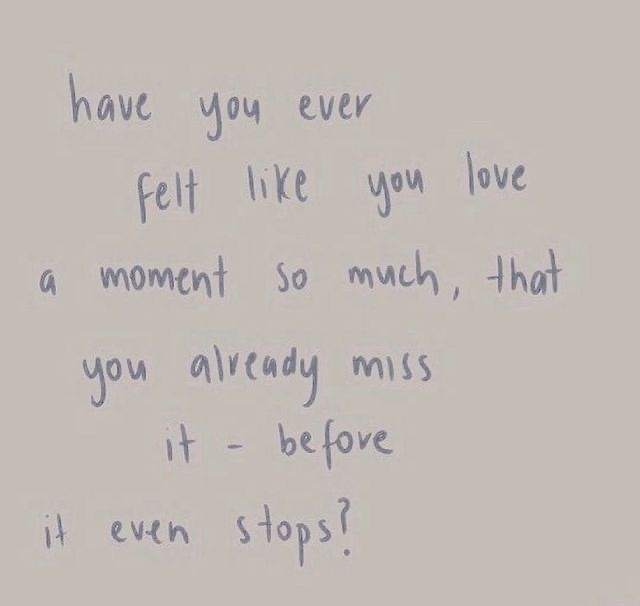 is it just us?

📷 @leonie_lion