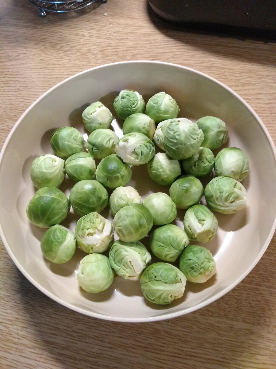 kebabmansteve's tweet photo. Well done @AldiUK 31 perfect sprouts for 19p #outstandingvalue https://t.co/vsdx9TGqlZ