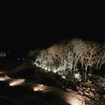 果実の森 【世界遺産の隠れ宿】のツイート画像