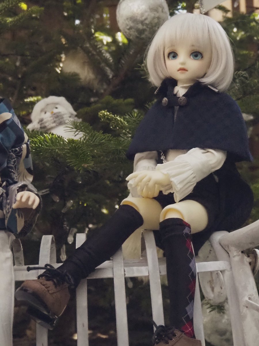 mamemamebatake's tweet photo. クリスマスツリー見てきた…！
ひとまず自分ちの子だけ！ https://t.co/LftdjMoblp