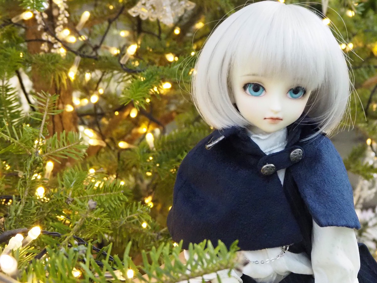 mamemamebatake's tweet photo. クリスマスツリー見てきた…！
ひとまず自分ちの子だけ！ https://t.co/LftdjMoblp