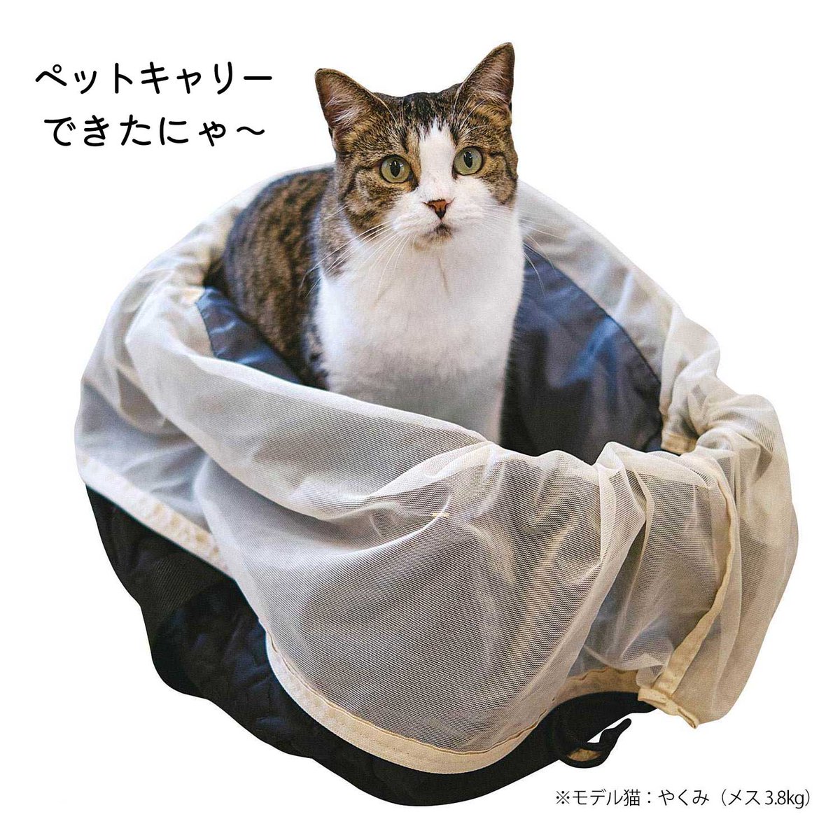 【好評販売中】
猫を背負って外出できるペットキャリーリュックもおすすめ👍

脱走防止機能付きで、ペットシーツセット可などこだわりの設計。猫砂やフードの買い出しなど、猫との暮らしでも活躍します✨
大容量なので非常用持ち出し袋としても🙆‍♀️
※耐荷重12kg

詳細はこちら⇒https://t.co/Emo6ohH4JS 