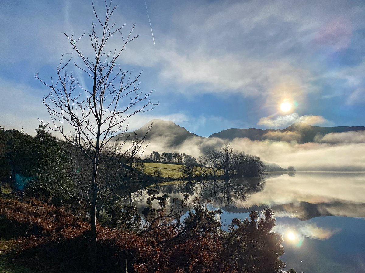 Lorna Gamberini 💙 tweet media