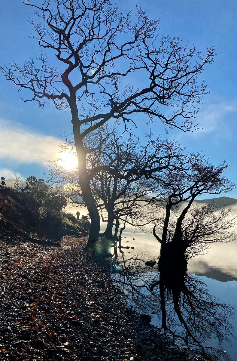 Lorna Gamberini 💙 tweet media