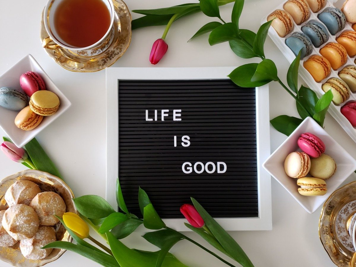 ImJattala's tweet photo. “The purpose of our lives is to be happy.” — Dalai Lama
#MondayMotivation #MondayLove #ManagementSprint #Week51
#Startup #Innovation #Pakistan500B2030 🇵🇰 https://t.co/fbDHkcvEsb