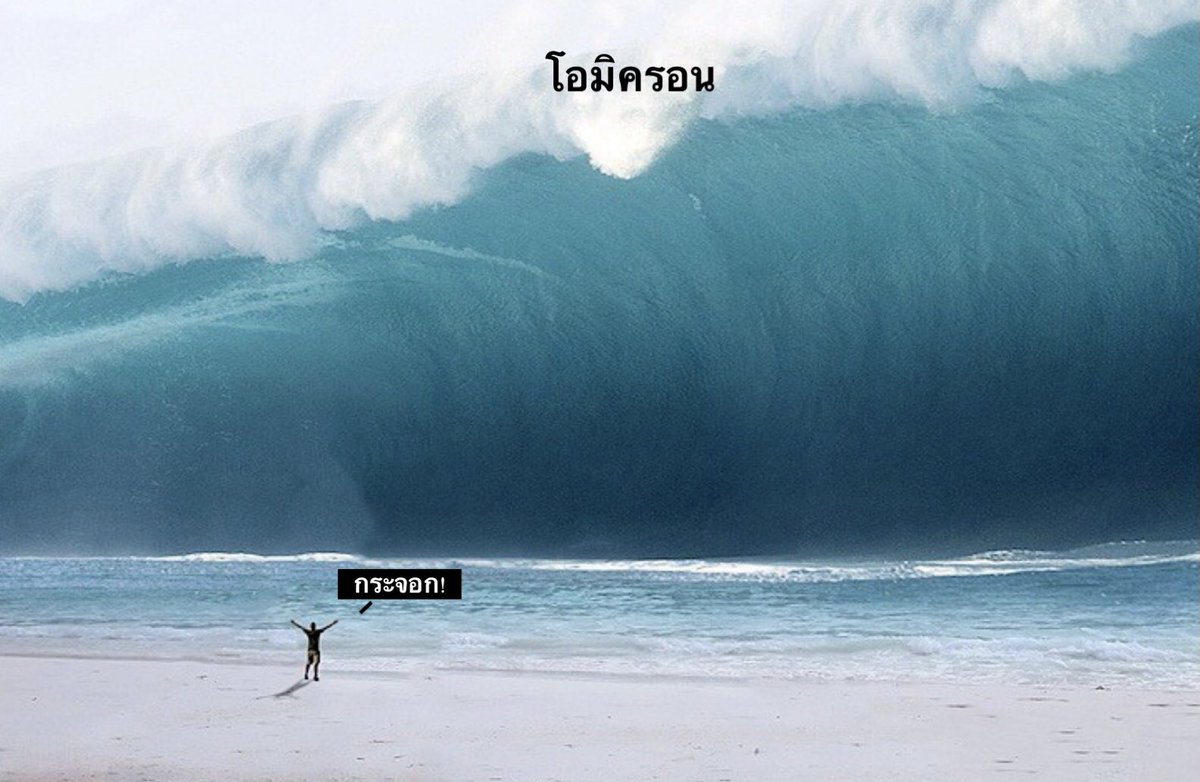 คมศักดิ์ แอดดัมส์ tweet media
