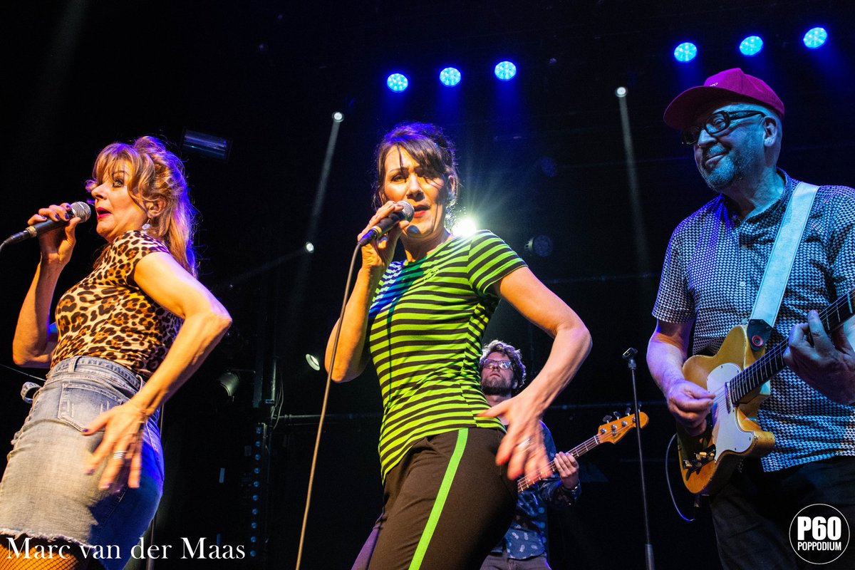 #TOURFACTS Gruppo Sportivo in <a href="/P60poppodium/">P60</a>, Amstelveen in 2019 during the Great Tour. 📸: Marc van der Maas

The band will return to P60 on March 25, 2022 with The Spotify Tour, performing their most streamed songs. Expect many hits 🕺👯‍♀️. More info: p60.nl/en/25-03-2022/…