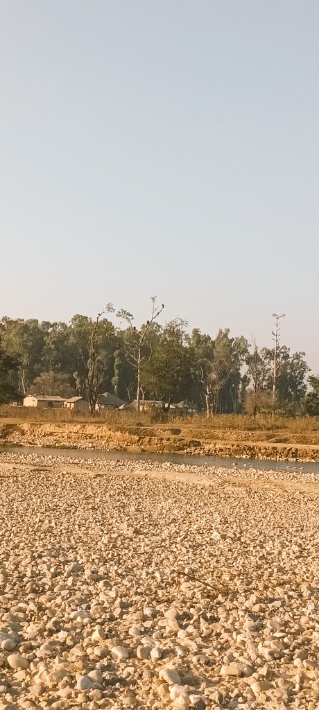 himani_khati's tweet photo. Autumn migration is on which takes us to an important field trip on raptor conservation to the Terai-Arc Landscape (TAL); a biodiverse rich region of the Uttarakhand state🌿
#vultureecology #community #salforest #corbetttigerreserve
@hawkwatchint @ExplorersClub @WWFINDIA @moefcc https://t.co/zgSYueR7xW