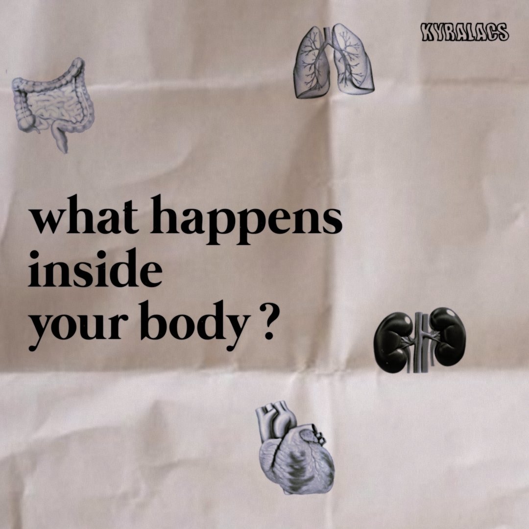 kyralacs's tweet image. 𓂋 WHAT HAPPENS INSIDE YOUR BODY ? ✦
– a thread