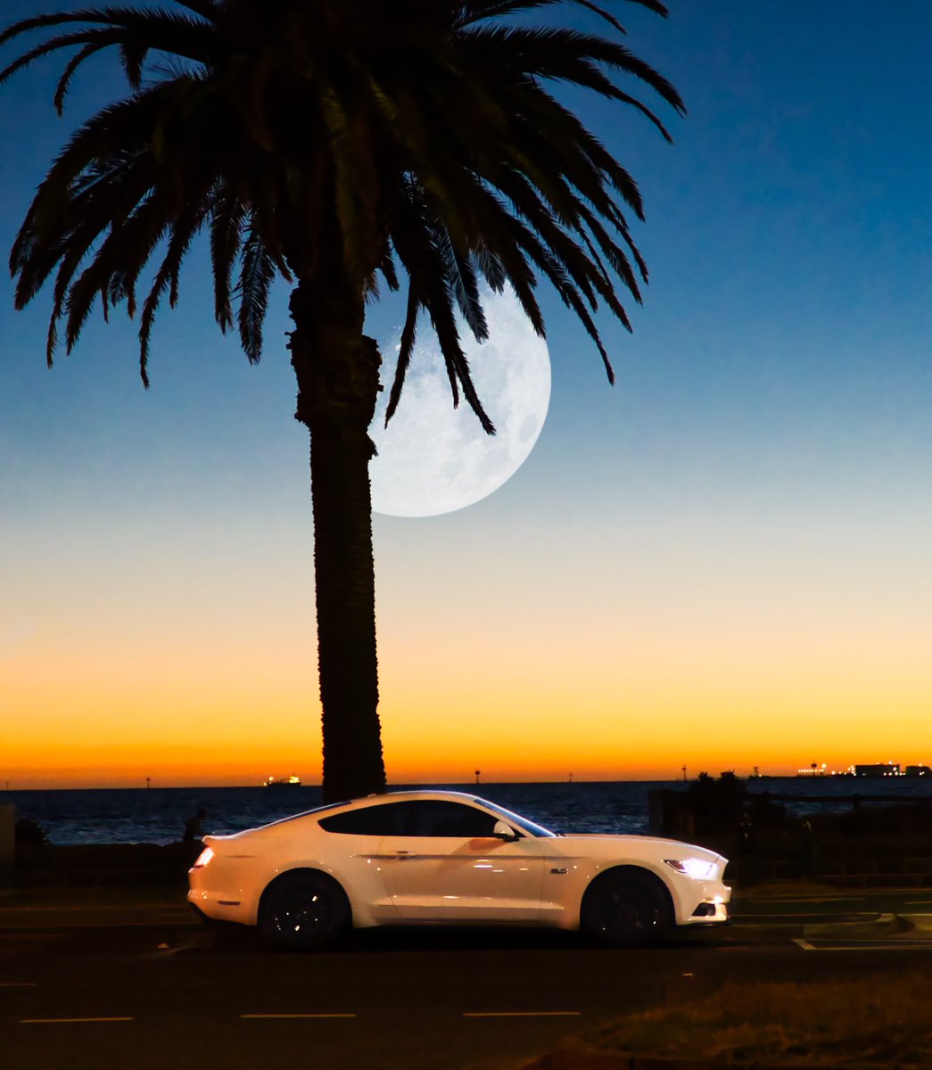 HeyFinlay's tweet photo. 🌴🌑🏎 https://t.co/b53nIroGIs