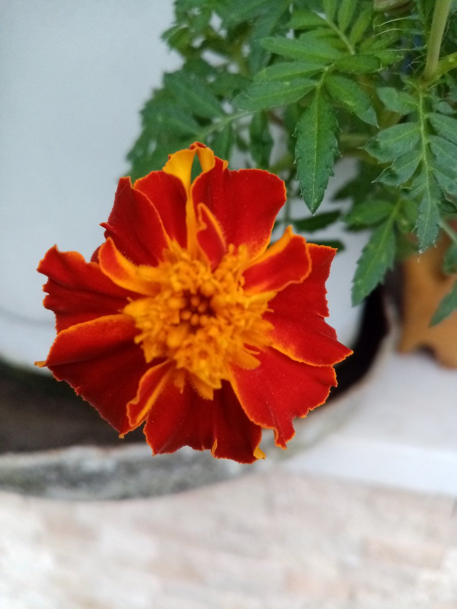 Günaydın.
Sağlıklı ve güzel bir hafta olsun inşallah.