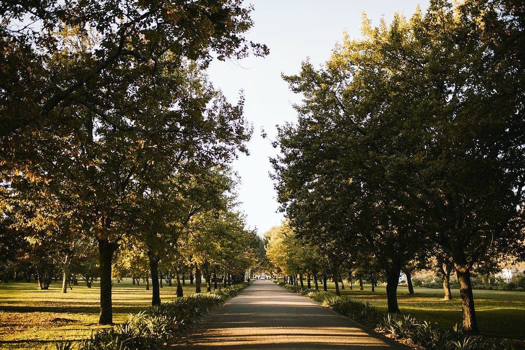 BoschendalFarm's tweet photo. New week, new farm adventures ๐พ Are you ready?
Thereโs plenty to explore, experience and enjoy this Festive season. See what's happening on the farm here: https://t.co/YZMIDjXVY1
๐ธ: SA Weddings
#explore #farmadventure #livethefarm #boschendal #franschhoek #stellenbosch https://t.co/nc86FemlWJ