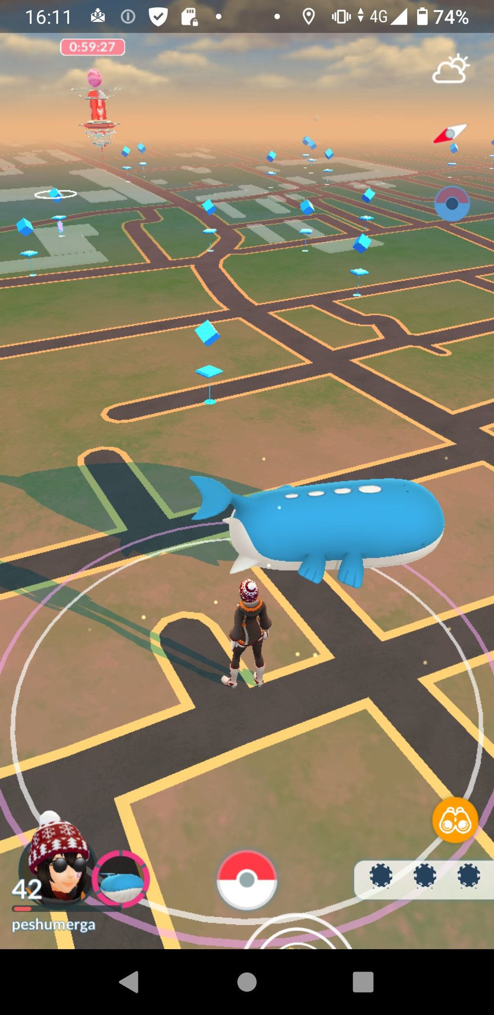 Peshumerga ダイパリメイクの連れ歩き動画みてホエルオー相棒にしてみたら まぁ あっちよりは頑張ってるなポケモンgo 距離感はhgssの方が好きだったな 抱き付いてきたりしてくてたもんなぁ ポケモンgoで飛行系伝説ポケモン相棒に