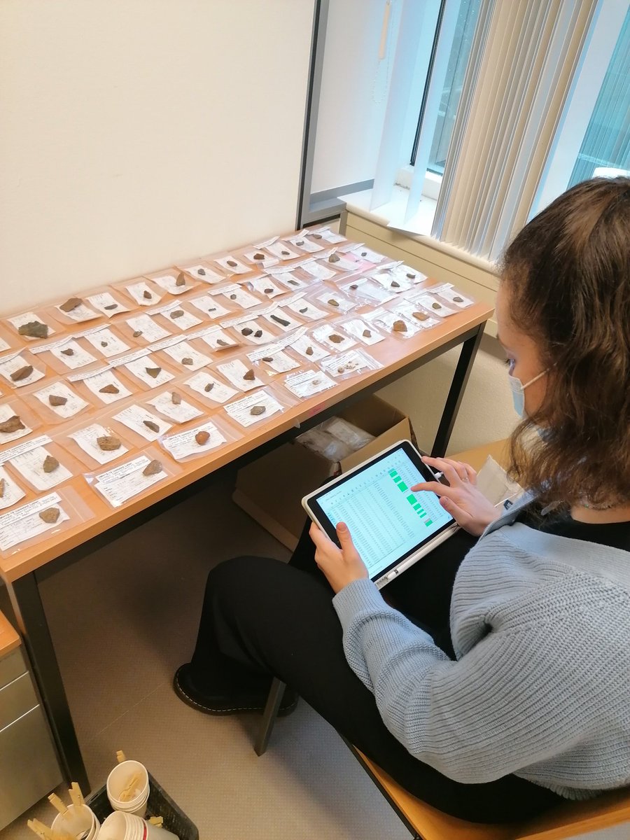 sifoGeoArch's tweet photo. We recently opened 7 internships to work with #MSA-#LSA material from #Umhlatuzana rockshelter! The tasks include #washing, #sorting, #databasechecking, #description and #documentation of the lithic artefacts!
Many thanks to the interns for their amazing work!
@LeidenArchaeo https://t.co/A7gGfqNLnv