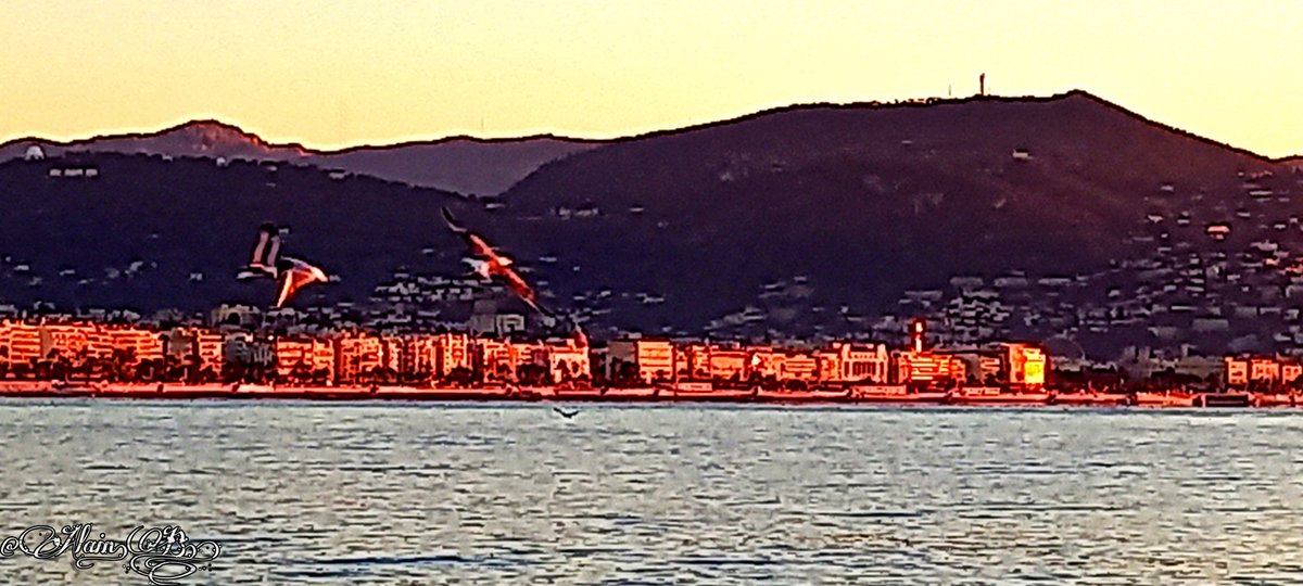 AlainBorsani's tweet photo. Voilà le Beau Soleil de ce Lundi Matin...Baïeta...#Ilovenice #FenetreSurNice #Nice06 #Nice06 #explorenice https://t.co/OXCfKTu98t
