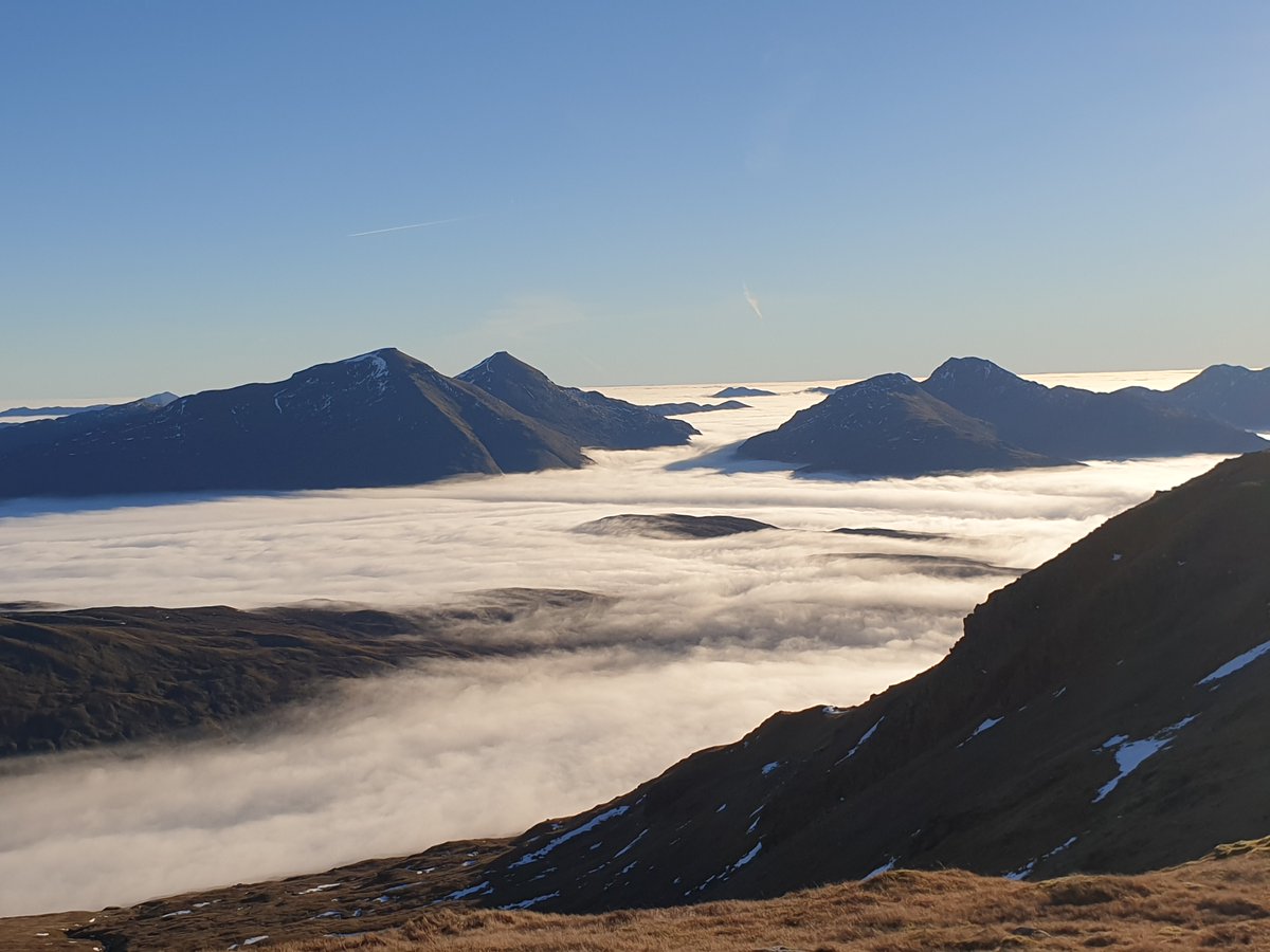 Steve Archer tweet media