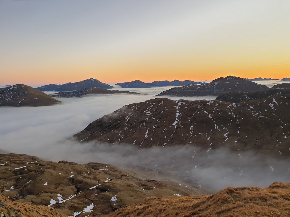 Steve Archer tweet media