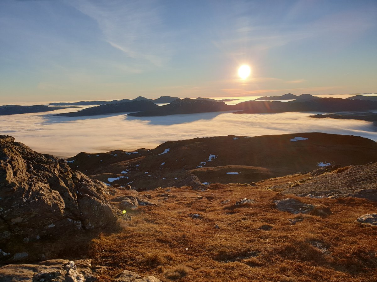 Steve Archer tweet media