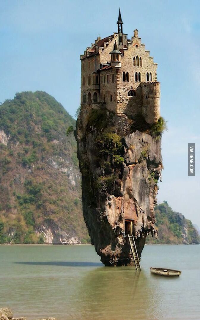 Paraíso animal (@paraisoanimal69) on Twitter photo 