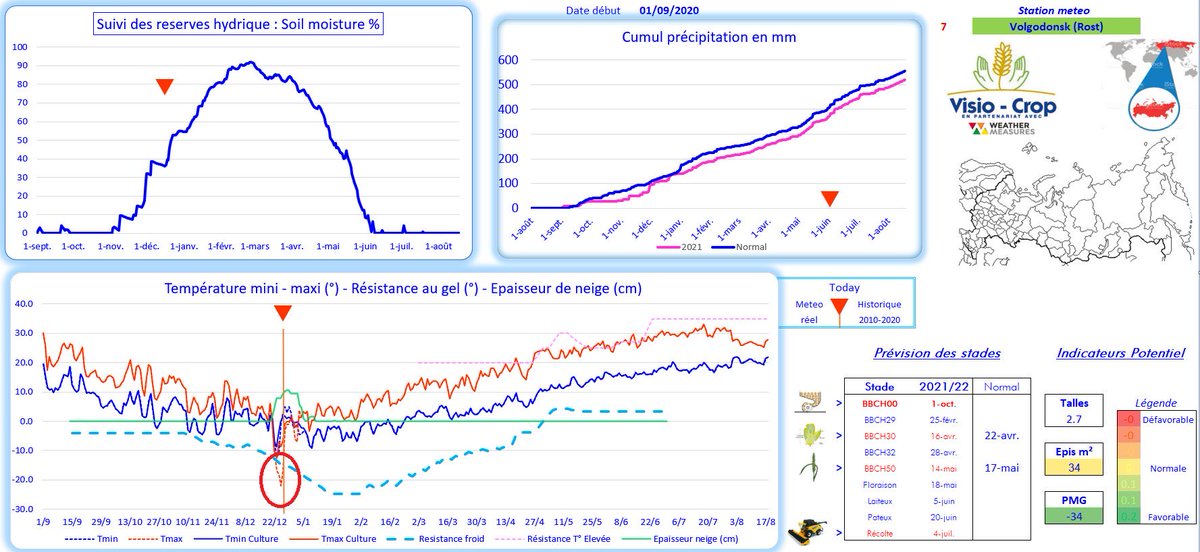 RussianGrainTra's tweet photo. 🥶 Russia 🇷🇺 2022 wheat 🌾 crop could be at risk in Volgograd region &amp; beyond due to low temperatures 🥶 ❄️ ⛄️ 
Beware ‘Winter Kill’ 🌾🔪 
@VisioCrop infographics https://t.co/lR5Z7oi1l6