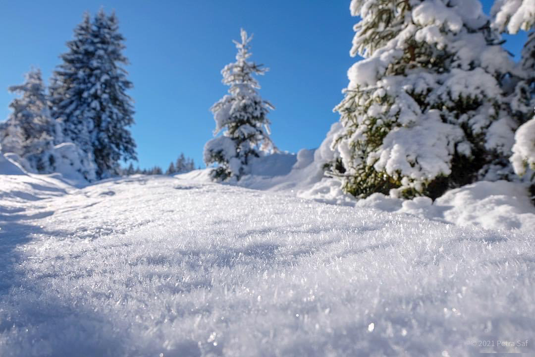 Petra_C_M_P's tweet image. Aus meinem Glitzerarchiv. 
Für eine watteweiche Landung in der angeblich stillsten Woche des Jahres …. und in der Realität.

Guten Morgen, Welt.

#SnowContent