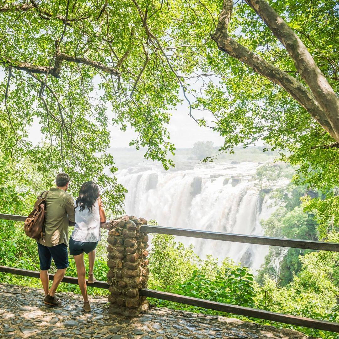 DewclawTours's tweet photo. Come explore the Victoria falls with us at a low price

Visit our website for more on
https://t.co/q5g98qZCLX

Email: dewclawsafaris@gmail.com
Whatsapp or call: +260 975 947 436 https://t.co/tAzZxD5sD9