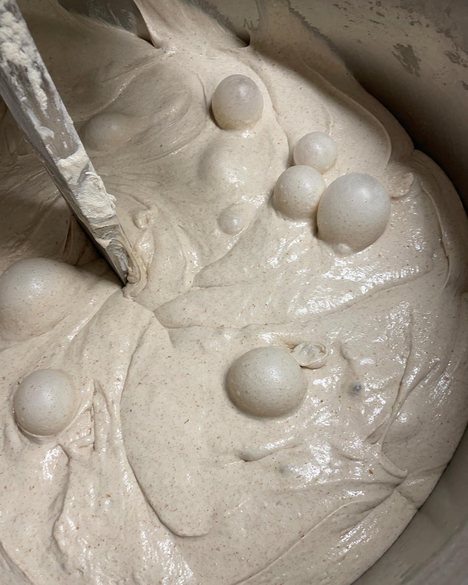 BalticBake's tweet image. Baltic Wild about to come out the mixer. I like a good mix with our sourdough, this biggish batch had 12 minutes on second speed. #doughmixing