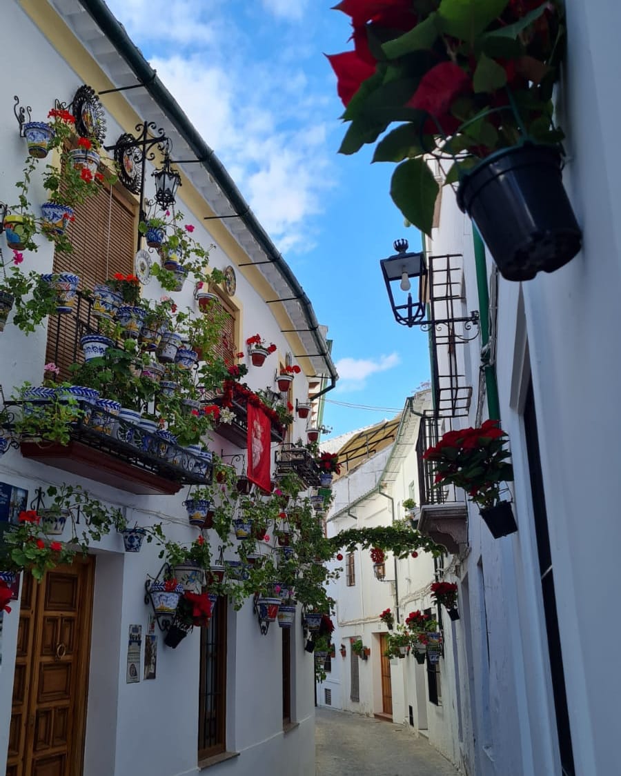 turismodepriego's tweet photo. ✳ Así luce el barrio de la Villa para estos días de  #Navidad2021 🤩🤩🤩

💫 Una decoración especial 🌲🌹 que resalta la belleza de estas históricas calles ✴

¿Paseamos por la Villa esta Navidad? 😉

#PriegoTuMejorPlan #PriegodeCórdoba #TurismodePriego https://t.co/2uIZQajVXv