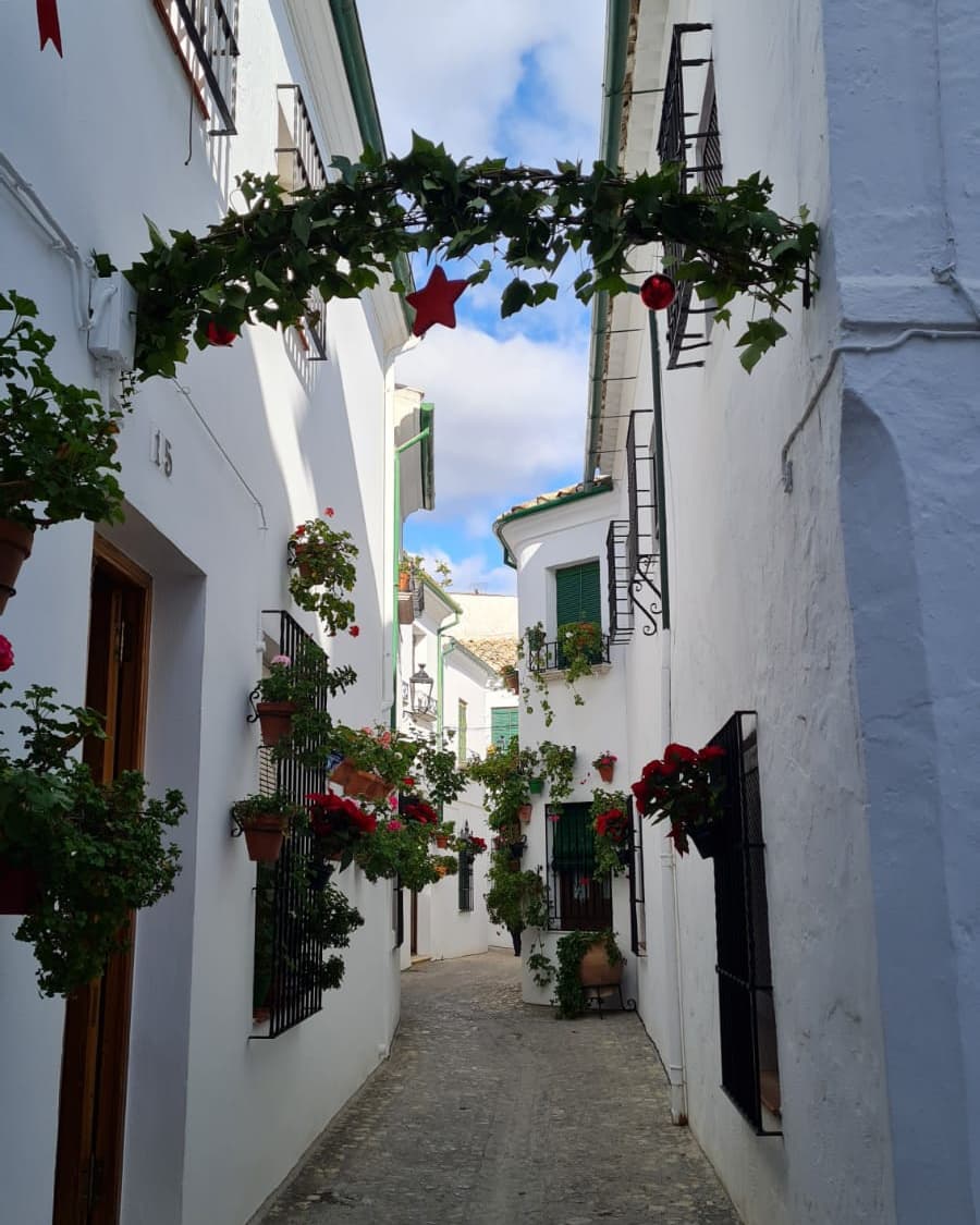 turismodepriego's tweet photo. ✳ Así luce el barrio de la Villa para estos días de  #Navidad2021 🤩🤩🤩

💫 Una decoración especial 🌲🌹 que resalta la belleza de estas históricas calles ✴

¿Paseamos por la Villa esta Navidad? 😉

#PriegoTuMejorPlan #PriegodeCórdoba #TurismodePriego https://t.co/2uIZQajVXv