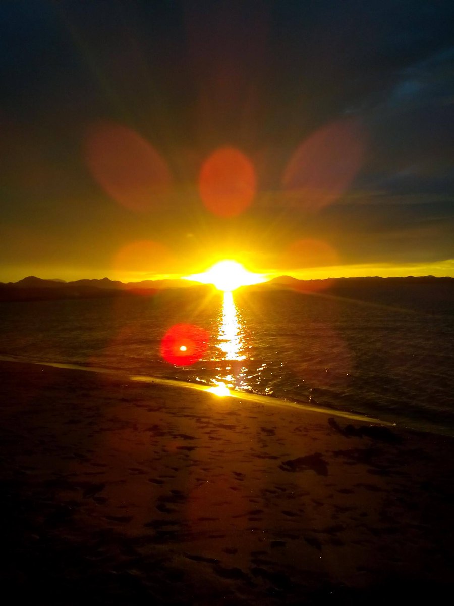 <a href="/AMD1_CEO/">AMD1•ILLUMINATED</a> 🌹♥️