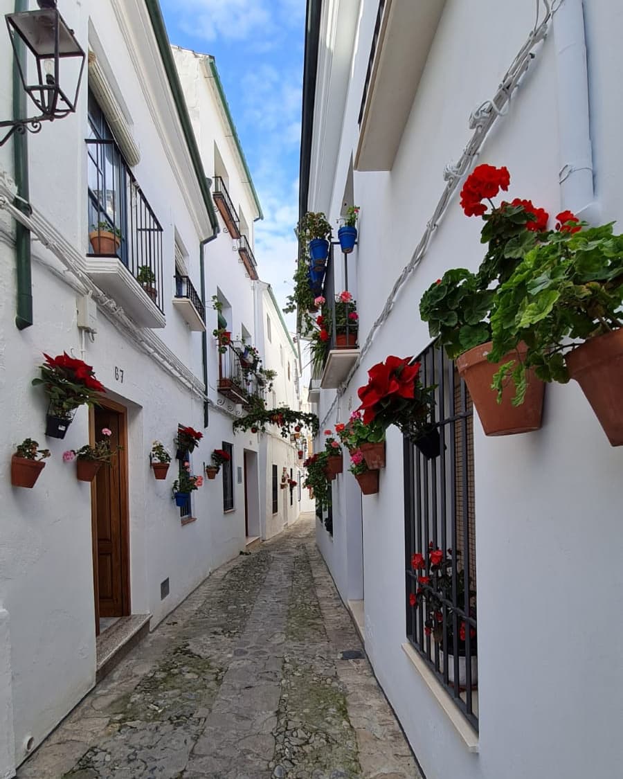 turismodepriego's tweet photo. ✳ Así luce el barrio de la Villa para estos días de  #Navidad2021 🤩🤩🤩

💫 Una decoración especial 🌲🌹 que resalta la belleza de estas históricas calles ✴

¿Paseamos por la Villa esta Navidad? 😉

#PriegoTuMejorPlan #PriegodeCórdoba #TurismodePriego https://t.co/2uIZQajVXv