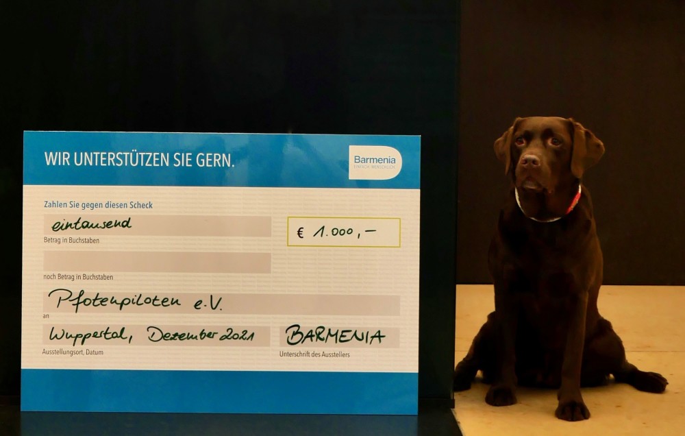 Barmenia's tweet photo. Assistenzhunde willkommen! – Barmenia begrüßt „Toto und Hanni“ in ihren Hauptverwaltungen in Wuppertal und unterstützt Pfotenpiloten e. V. mit einer Spende https://t.co/8Q7L3sSFh6 https://t.co/Sq0Rrne3er