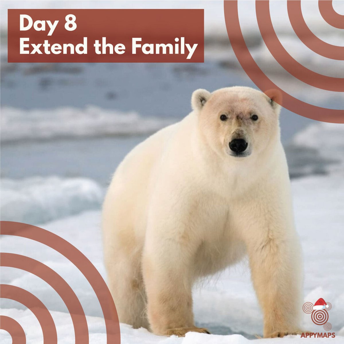 An ideal Christmas gift can be adopting an endangered animal for yourself or a loved one from <a href="/wwf_uk/">WWF UK</a>. In doing this you help save and protect precious habitats and all the species that rely on them.

#animallover  #sustainablechristmas   #charity  #petadoption  #xmas2021