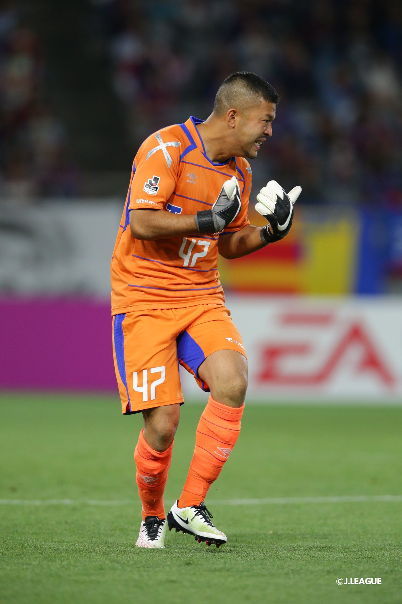 Fc東京 公式 Lifewithfctokyo 16シーズンにfc東京に在籍し J1リーグ全34試合にスタメン フル出場をした 秋元陽太 選手が現役引退を発表しました 1シーズンでしたが 闘志溢れるプレーでゴールマウスを守り続け 多くの勝利をたぐり寄せて