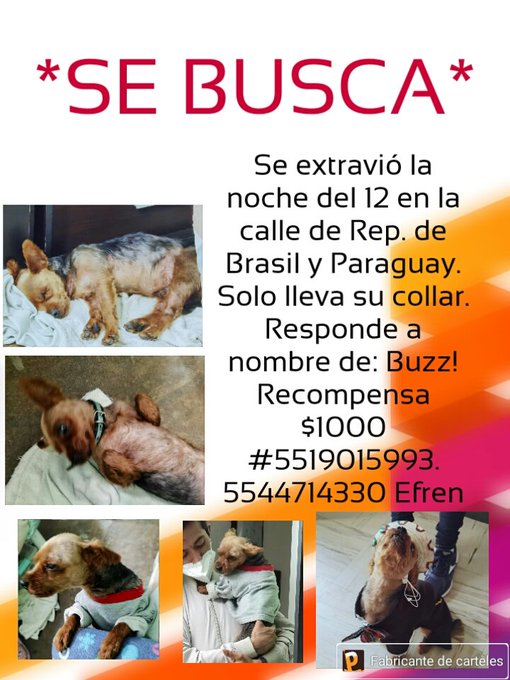 @PrrosPerdidosMX https://t.co/2tweENKsn7<a class="tags" target="_blank" title="On Twitter" href="/?out=eyJ0eXAiOiJKV1QiLCJhbGciOiJIUzUxMiJ9.eyJpYXQiOjE3MjU3NjI1NDUsImlzcyI6InR3cG9ybnN0YXJzLmNvbSIsIm5iZiI6MTcyNTc2MjU0NSwiZXhwIjoxNzU3Mjk4NTQ1LCJyZWRpcmVjdF91cmwiOiJodHRwczovL3R3aXR0ZXIuY29tL1Bycm9zUGVyZGlkb3NNWCJ9._osfvoYfCuWrOvWZmCqKlqtYbs4YvkgGb_i-cclW_r4zX-cxz8WnlVqYUmi11QgGiC0BDmtjhdeeUGJO9lk1iw">@PrrosPerdidosMX</a><a href="/tag/nuevafotodeperfil"class="tags"><span>#nuevafotodeperfil</span></a>