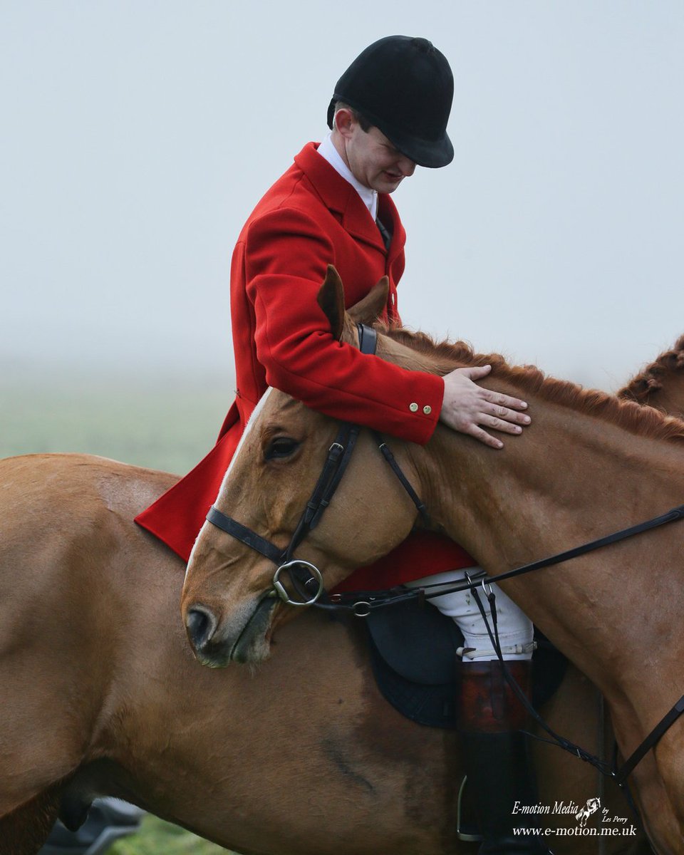 Love of the horse.
#gopointing
#hunting 
#HorseRacing 
#horse