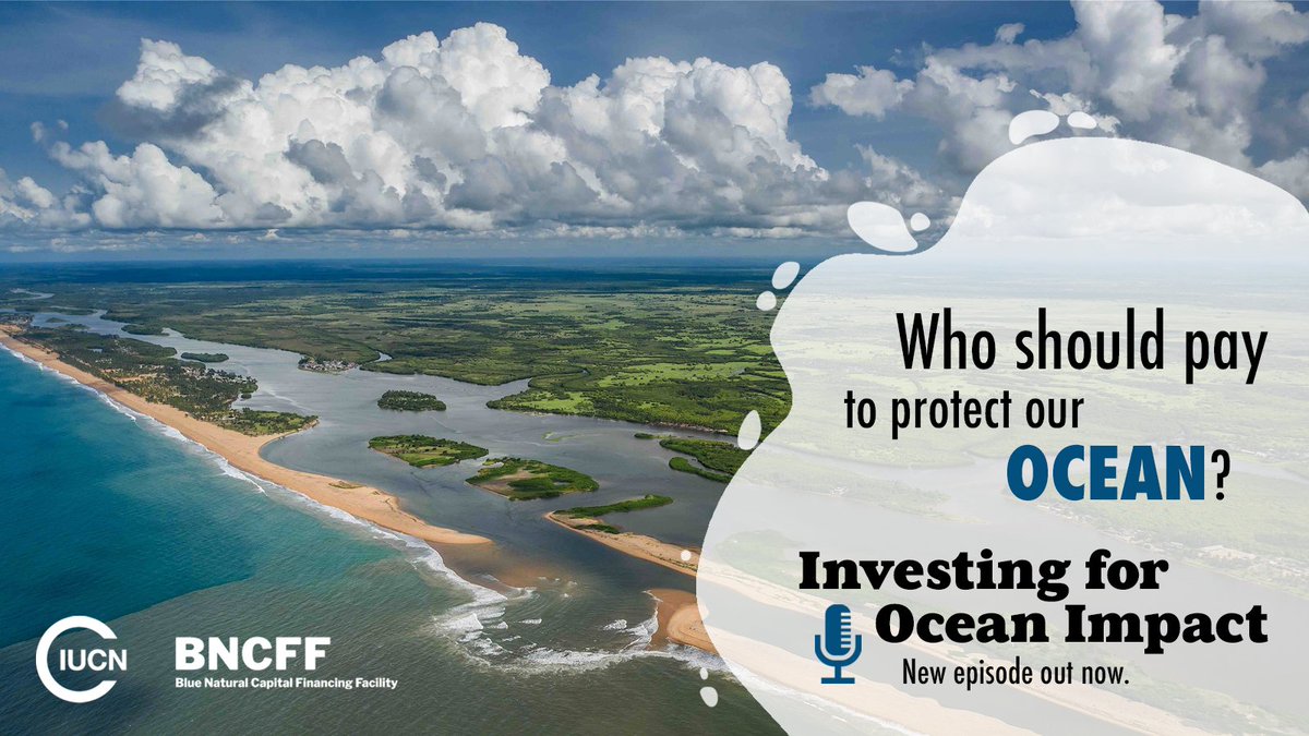 Funding ocean restoration. That’s a job for non-profits, right? Meet three people who think otherwise. They are working to make Nature-based Solution investments mainstream - creating profit for planet and people. LISTEN🎙️➡️ smarturl.it/oceanimpactpod… #InvestingForOceanImpact