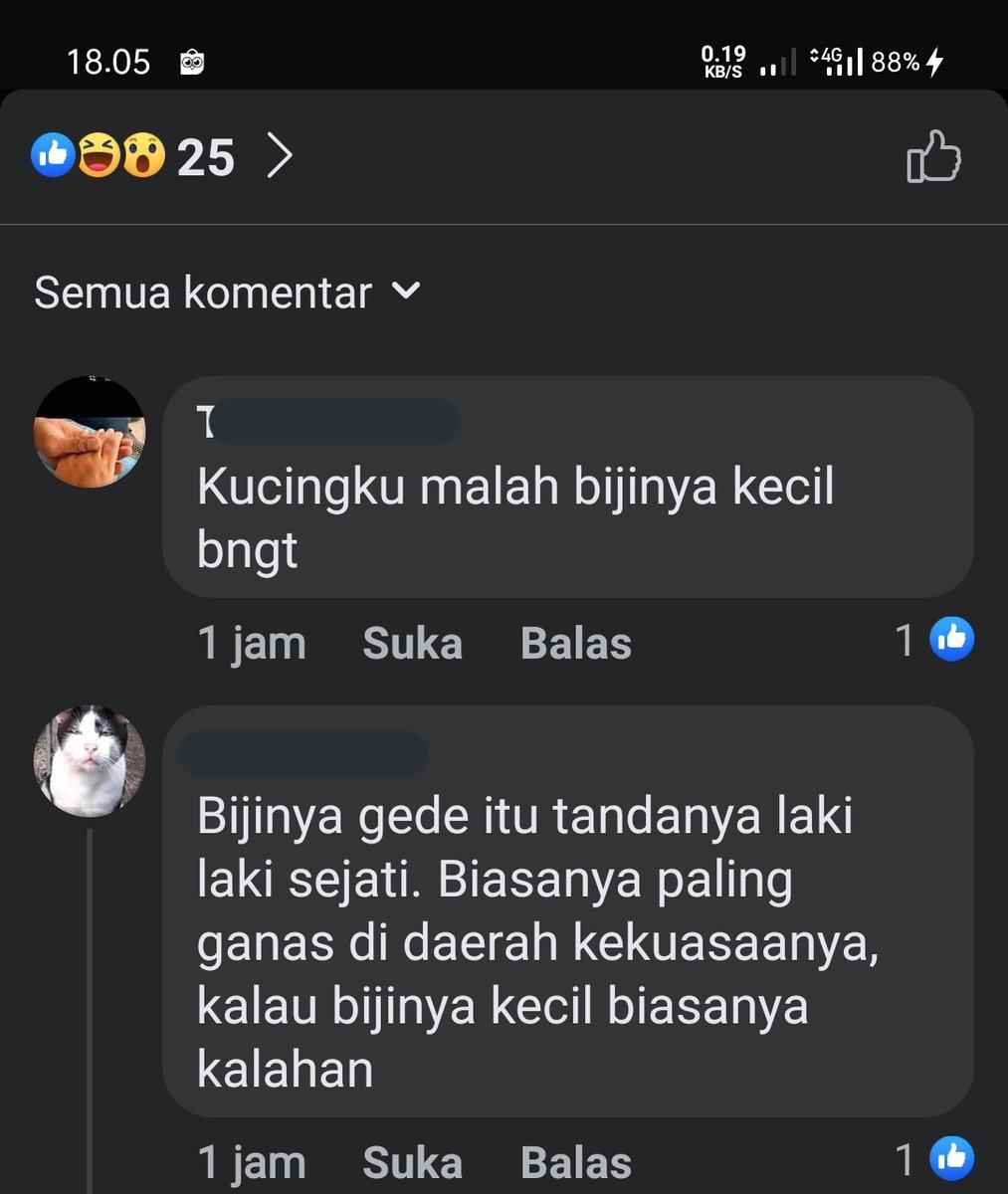 RiandCux's tweet photo. Tanda kucing itu perkasa atau tidak https://t.co/lgsXVJ81N6