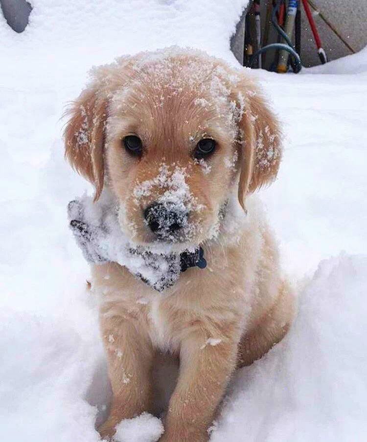 BOX VILLAT tweet media