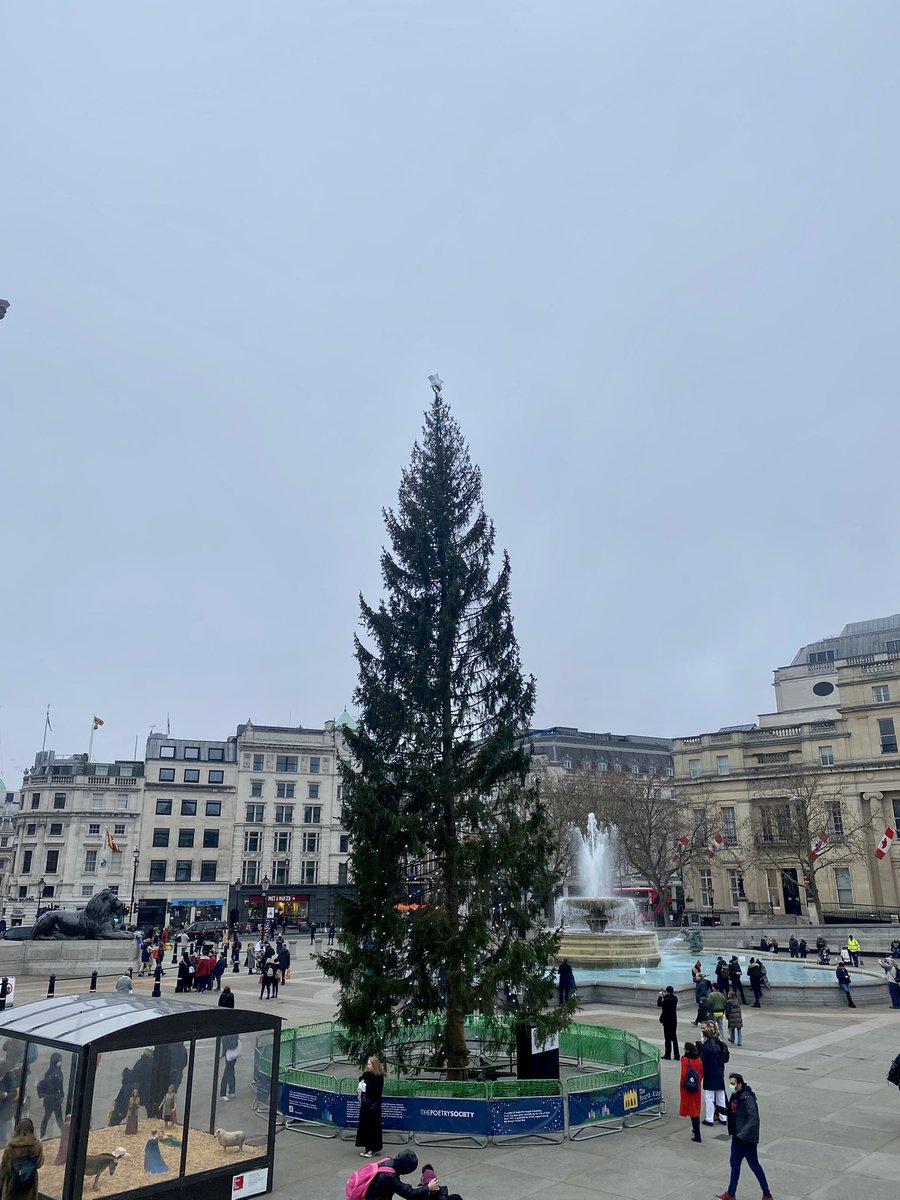 Jessica____B's tweet photo. ‘If 2020/21 was a Christmas tree.’

I thought the pictures I’d seen about this were a hoax .We are most certainly not in the Norwegians good books 🤦‍♀️🎄 #TrafalgarSquare #ChristmasTree #sorrysight https://t.co/x97AVuXYVT
