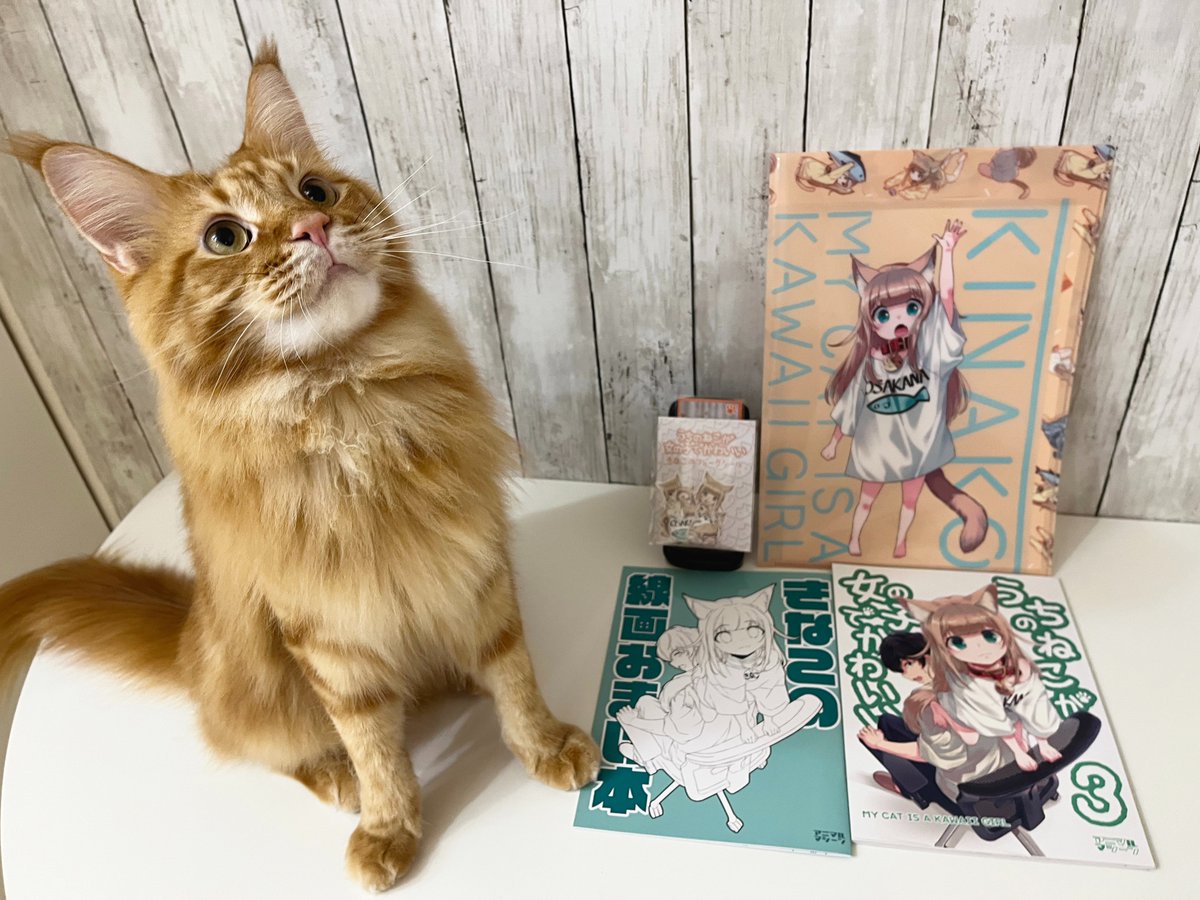 「🎉冬コミで頒布するきなこ新刊セットの通販予約をboothで開始しました٩( `」|40原のイラスト